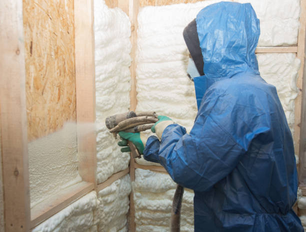 Professional Insulation in Jonesboro, LA